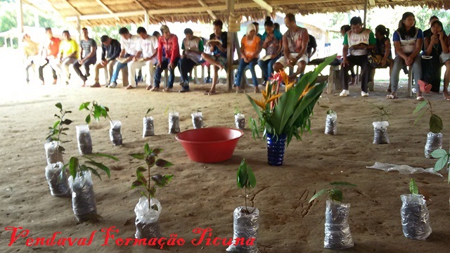 Formação ticuna em Vendaval: Ecologia, Cultura, Igreja …